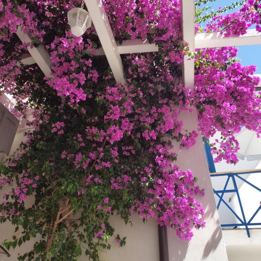 B&B Sognando Vietri E Spa Esclusiva Aversa Εξωτερικό φωτογραφία